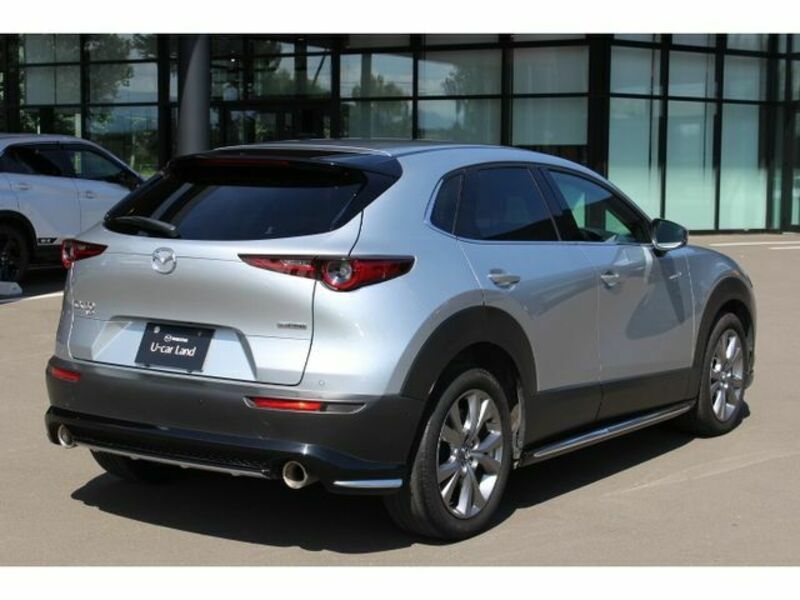 CX-30
