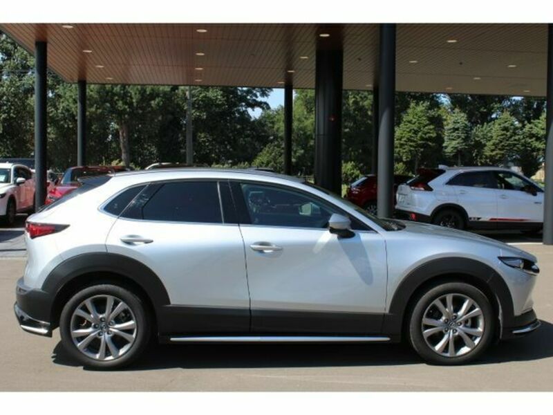 CX-30