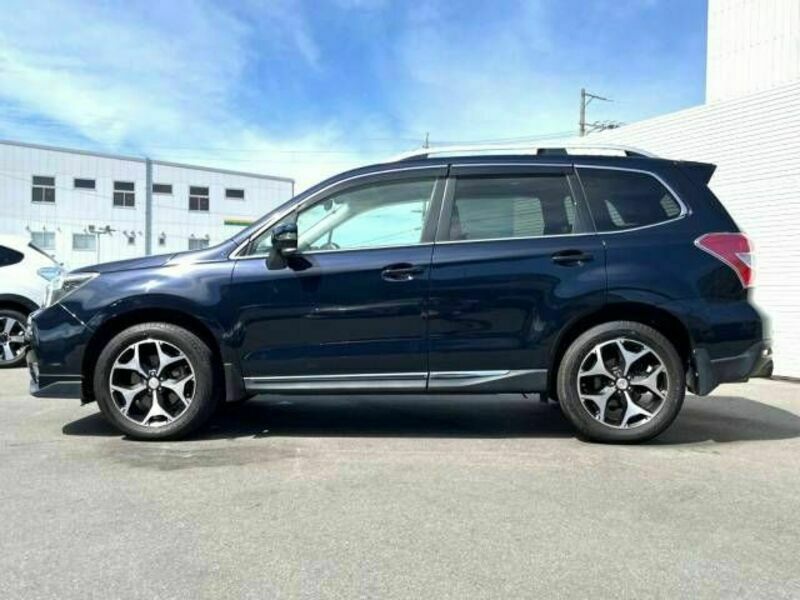 FORESTER