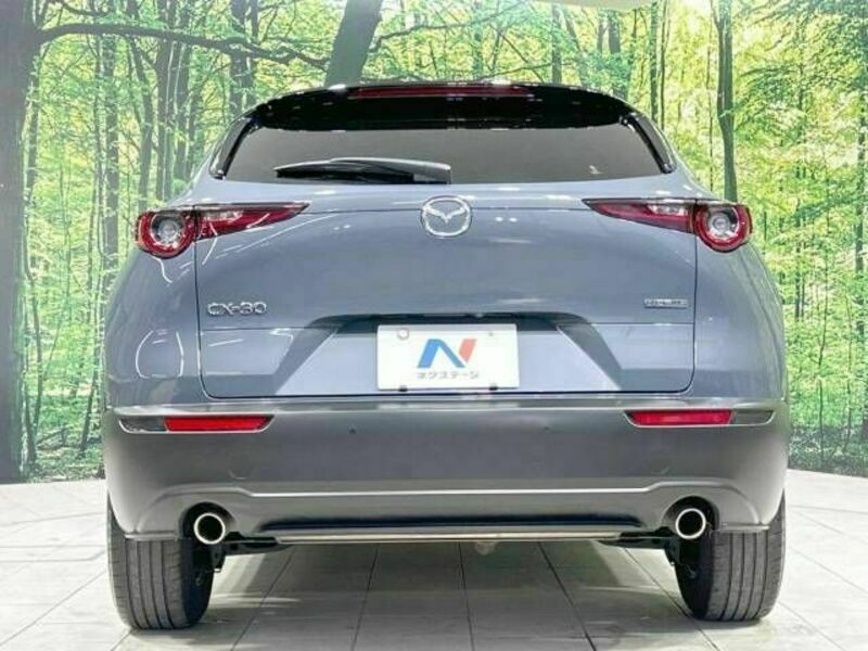 CX-30