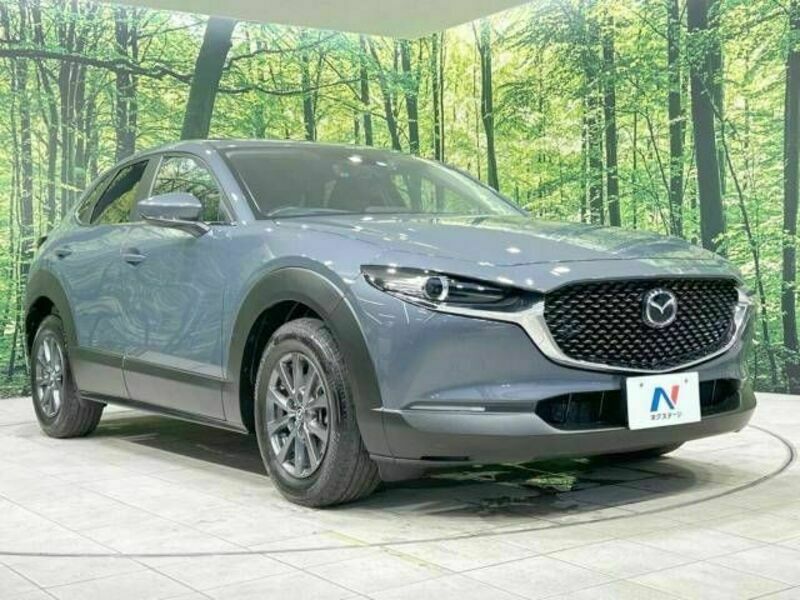 CX-30