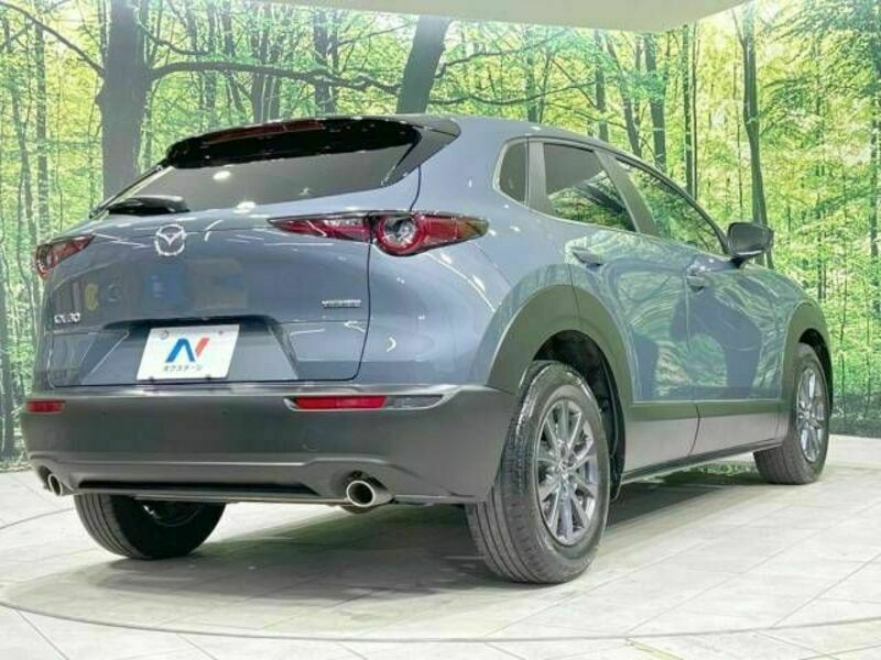 CX-30