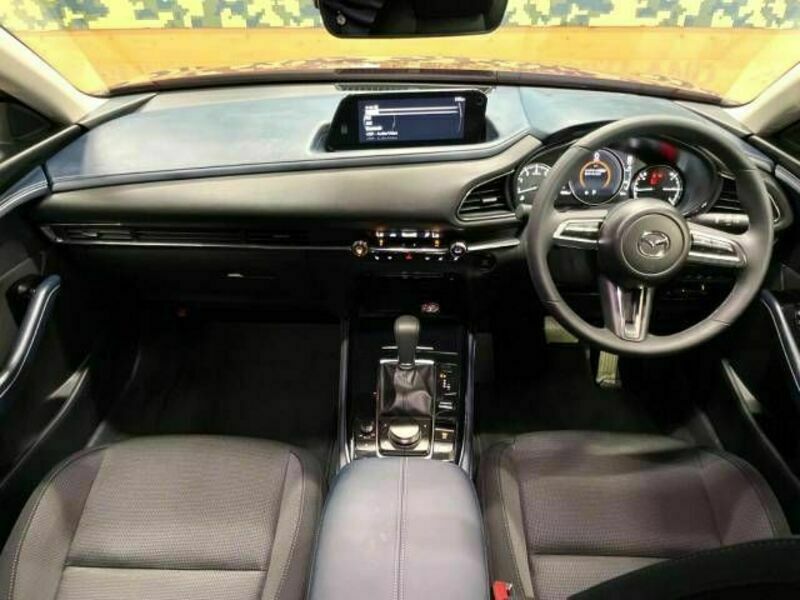 CX-30