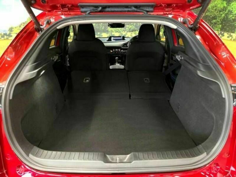 CX-30