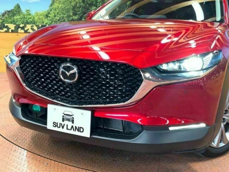 CX-30