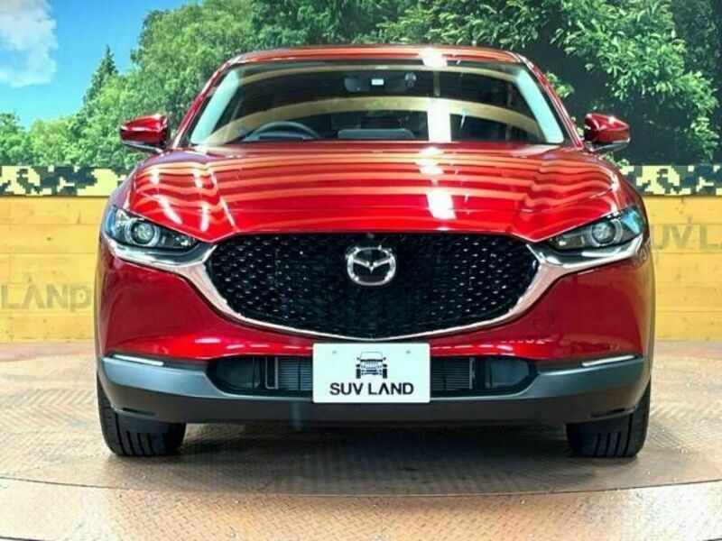 CX-30