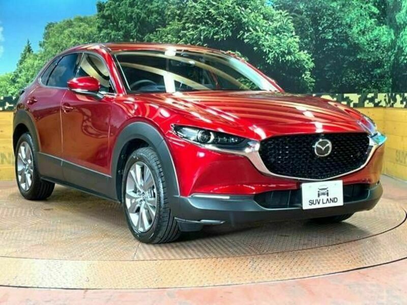 CX-30
