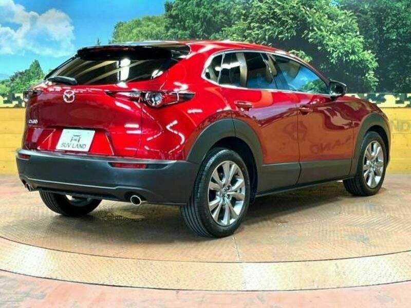 CX-30