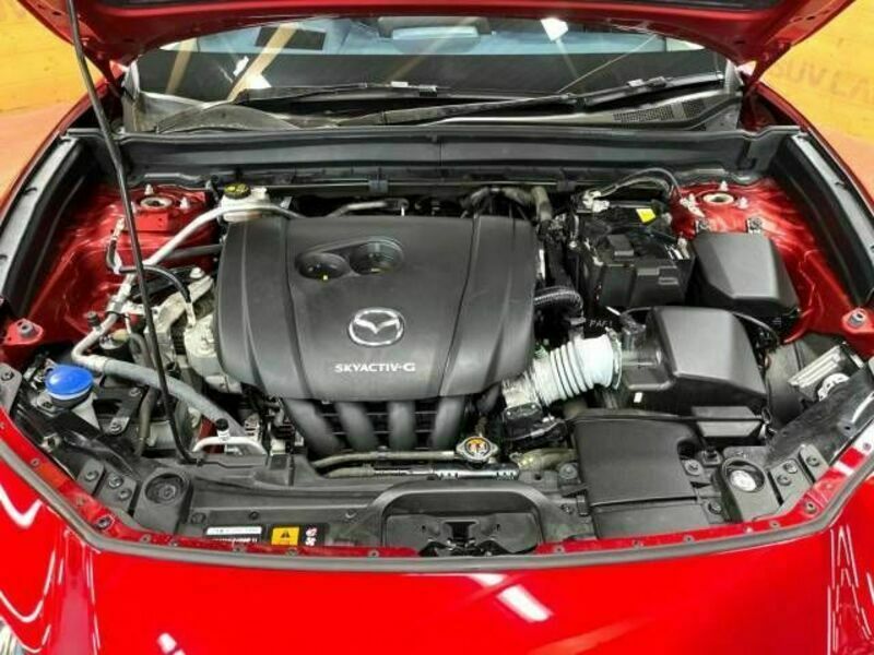 CX-30