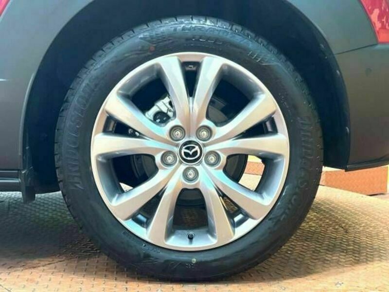 CX-30