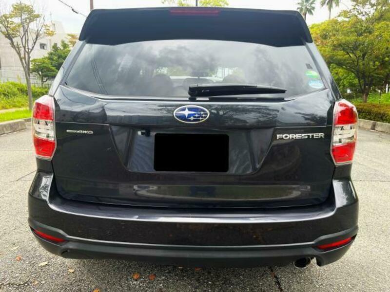 FORESTER