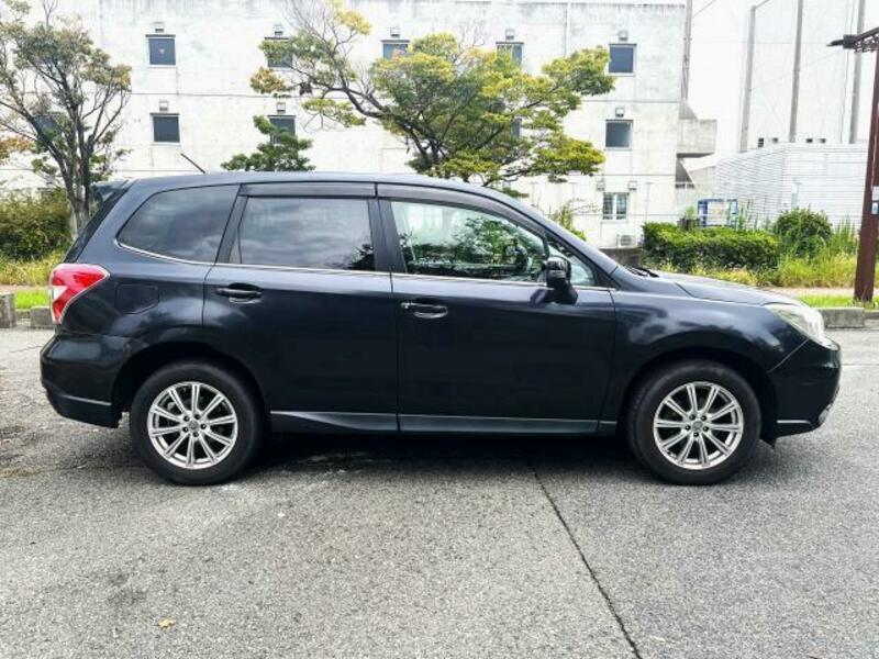 FORESTER