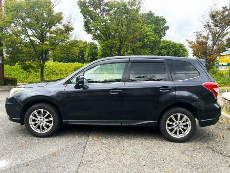 FORESTER