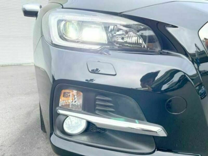 LEVORG