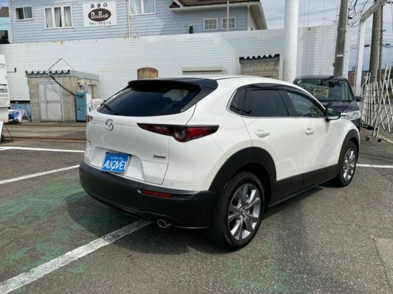 CX-30