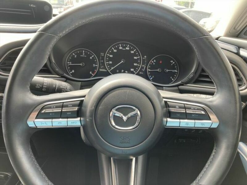 CX-30