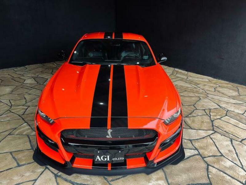 MUSTANG