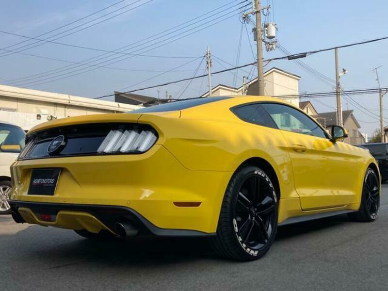 MUSTANG-1