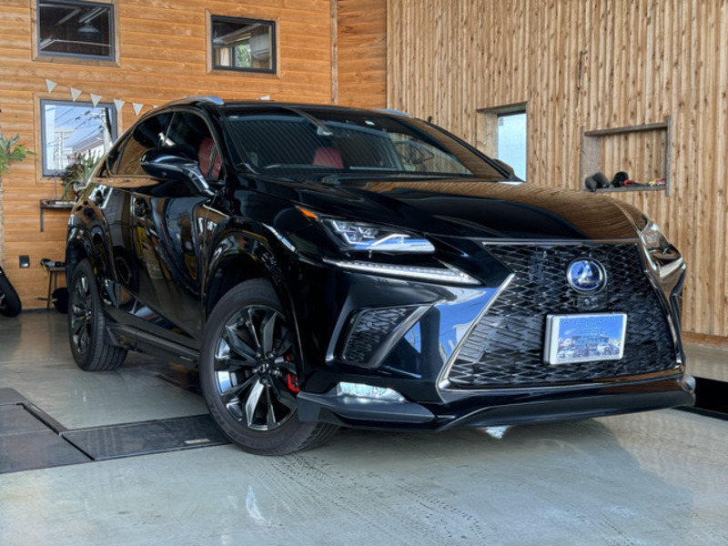 LEXUS　NX