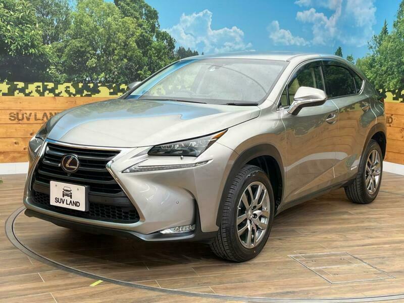 NX