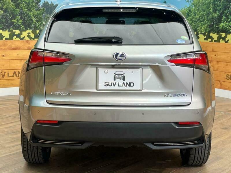 NX