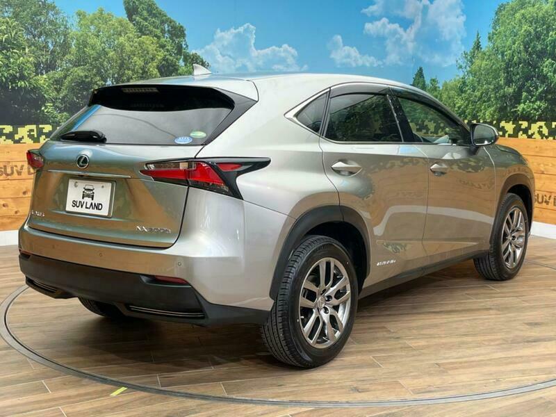 NX