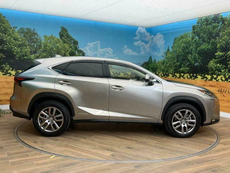 NX