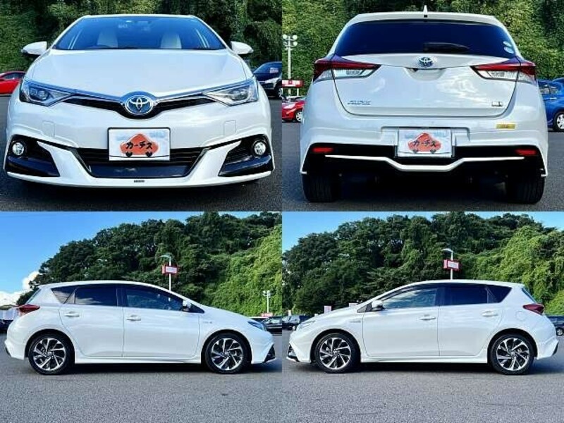 AURIS-3