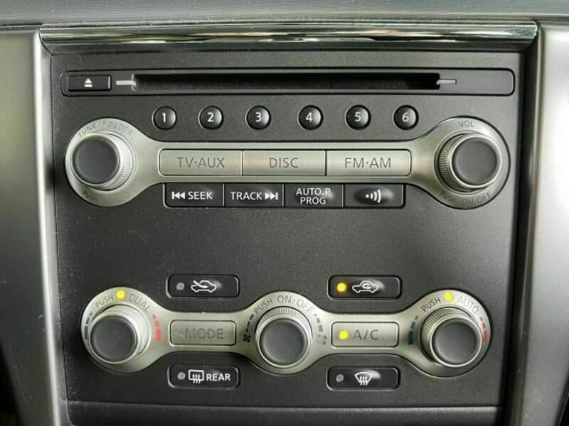 TEANA-10