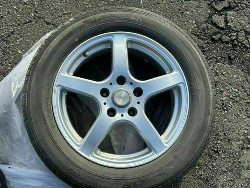 GALANT FORTIS