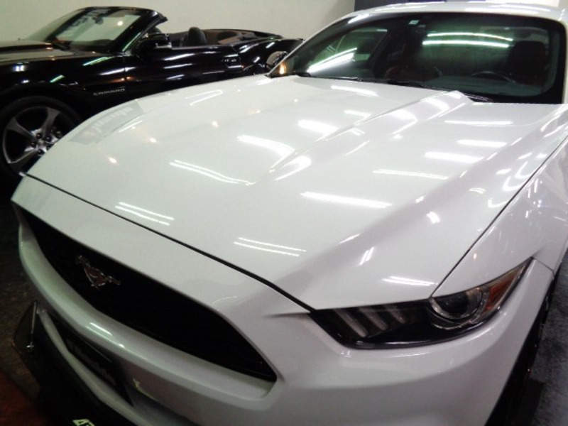 MUSTANG