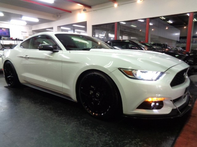 MUSTANG