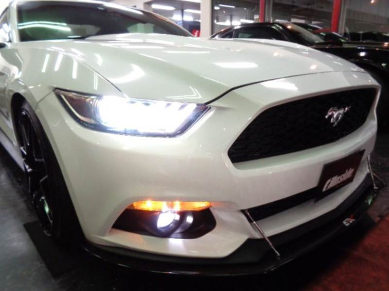 MUSTANG