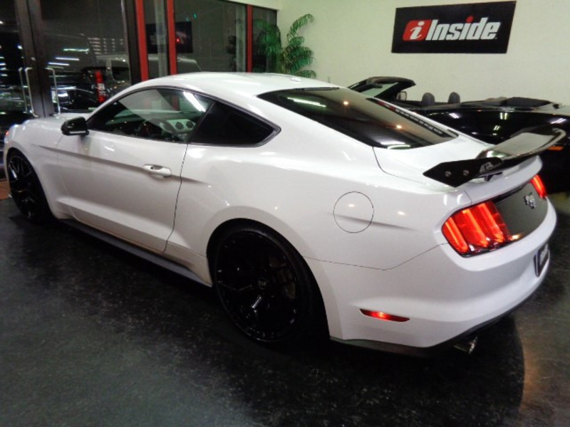MUSTANG