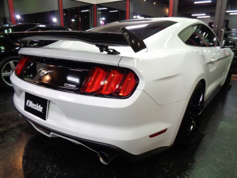 MUSTANG