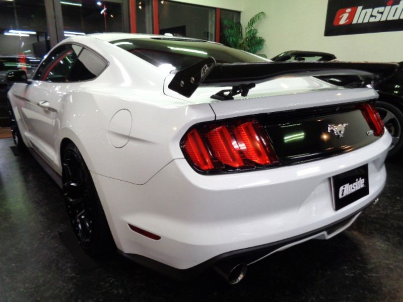 MUSTANG