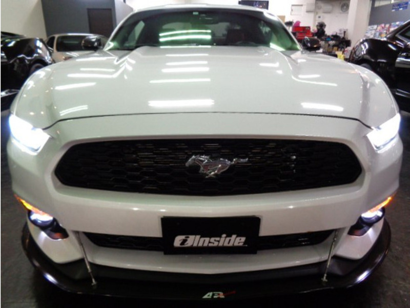 MUSTANG