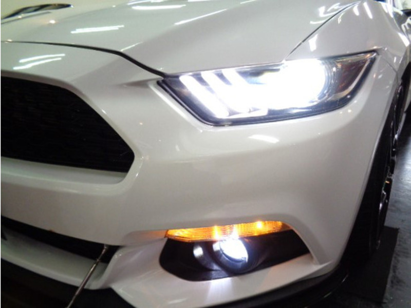 MUSTANG