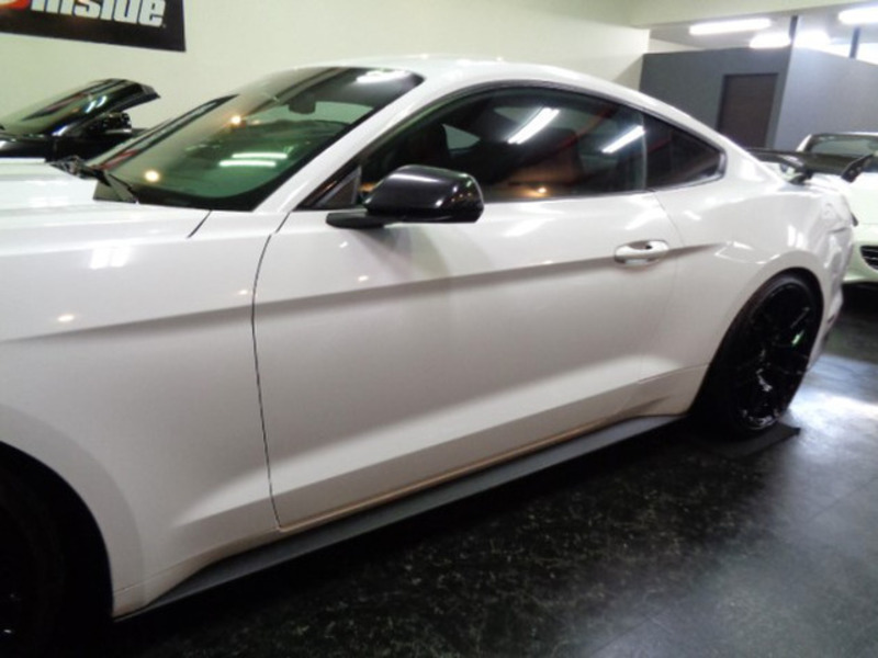MUSTANG