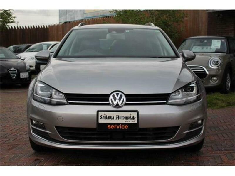 GOLF VARIANT