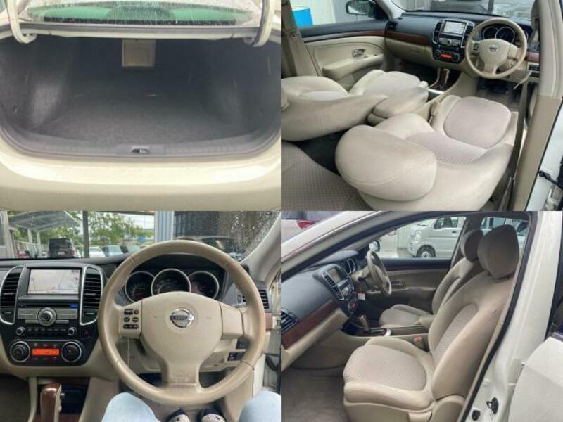 BLUEBIRD SYLPHY