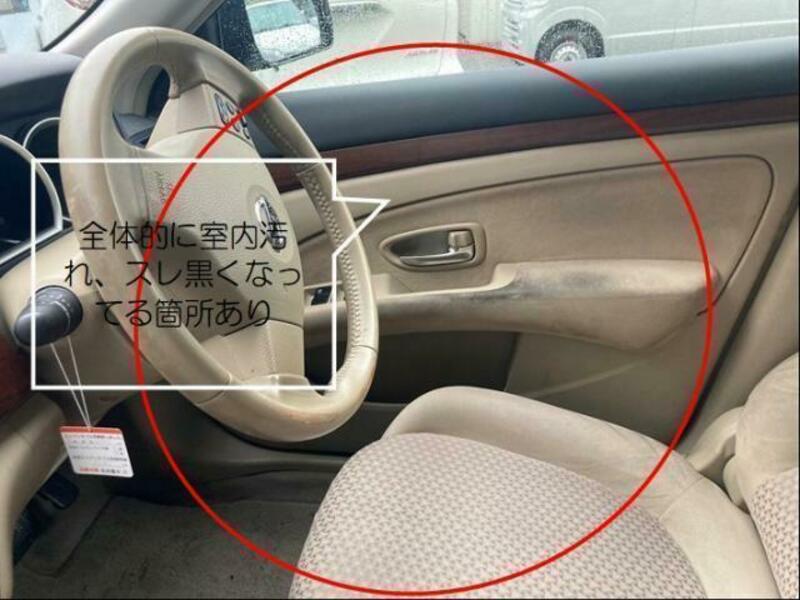 BLUEBIRD SYLPHY