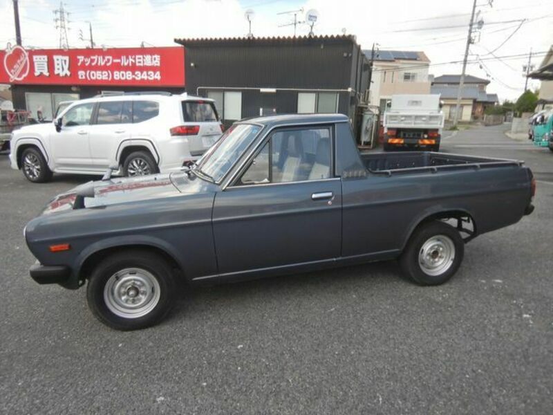 SUNNY TRUCK