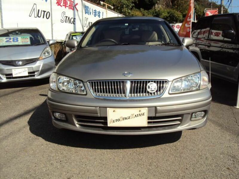 BLUEBIRD SYLPHY