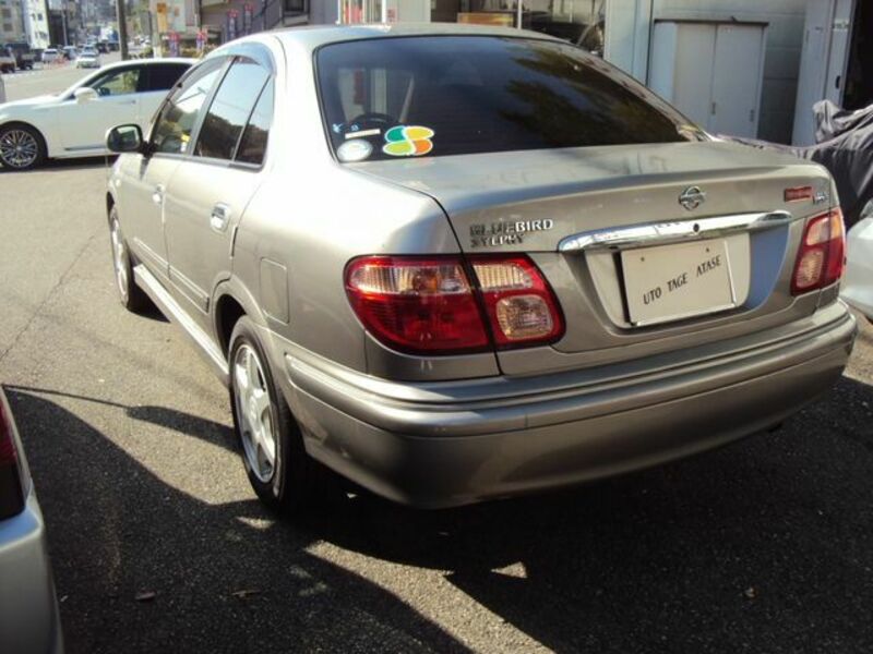 BLUEBIRD SYLPHY