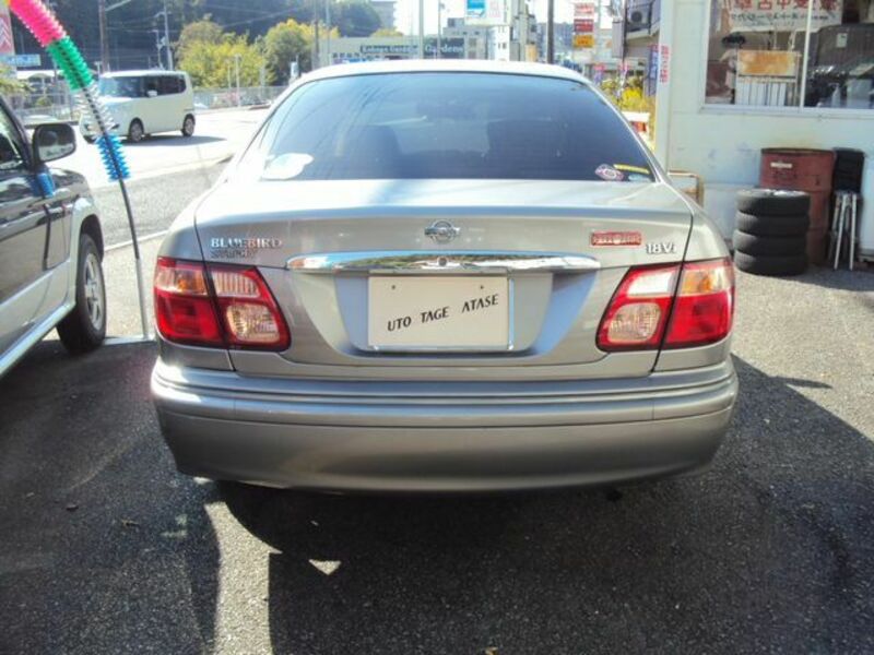 BLUEBIRD SYLPHY