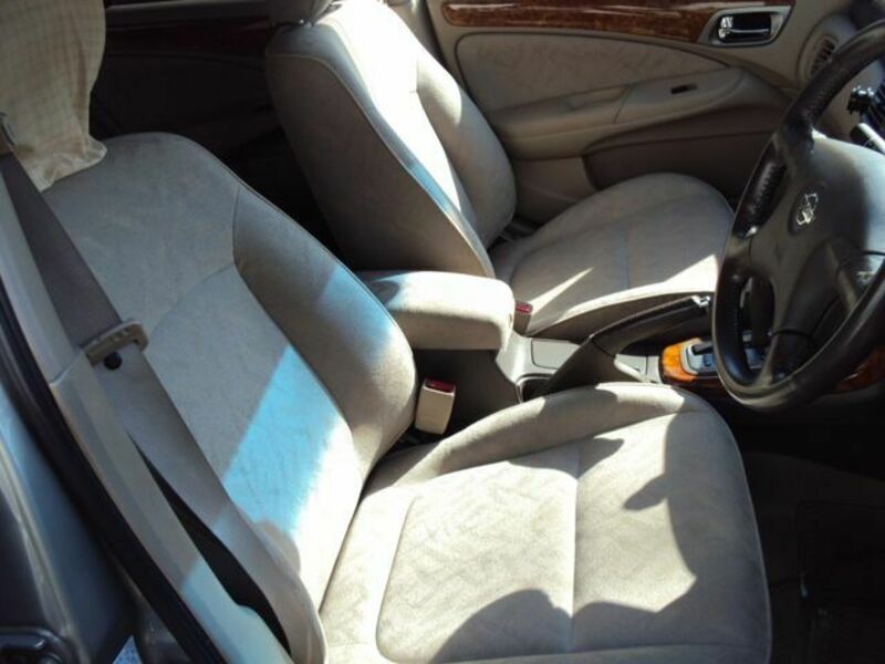 BLUEBIRD SYLPHY