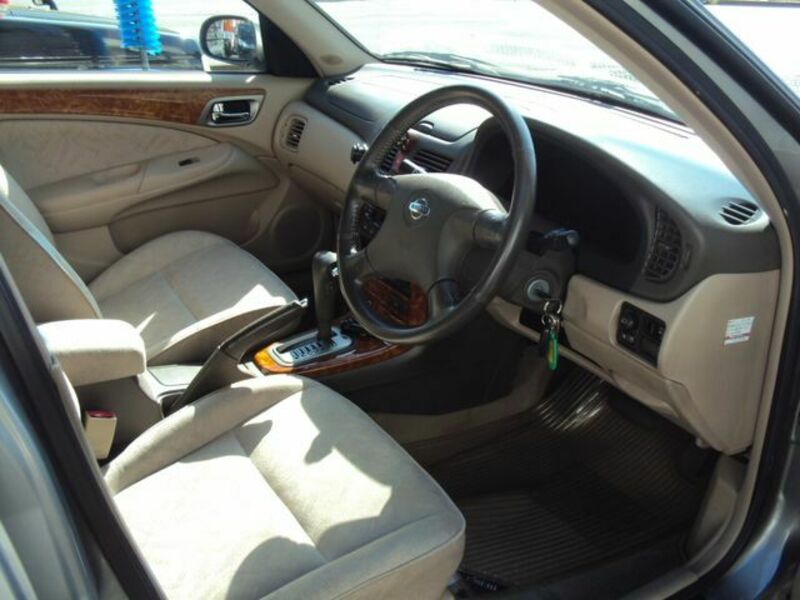 BLUEBIRD SYLPHY