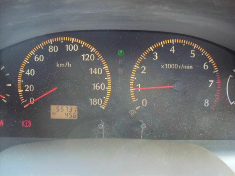 BLUEBIRD SYLPHY