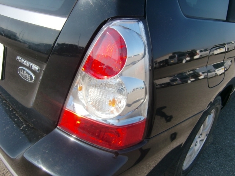 FORESTER